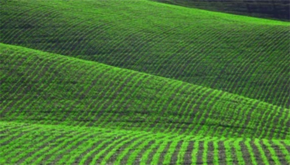 Повышенная влажность